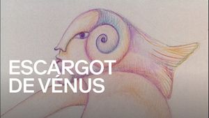 Venus on the Half-Shell's poster
