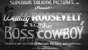 The Boss Cowboy's poster