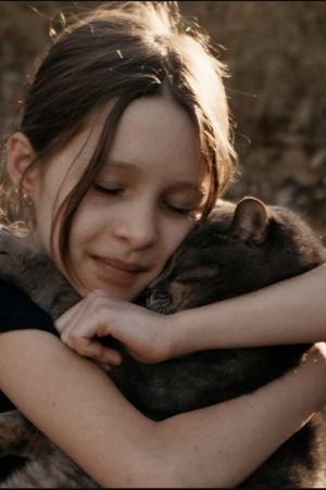 Save the Cat's poster image