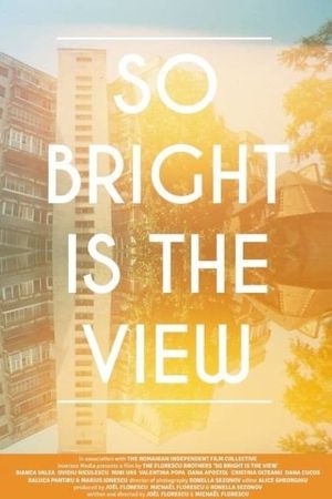 So Bright Is the View's poster