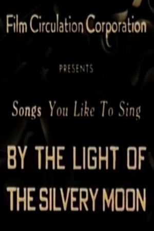 By the Light of the Silvery Moon's poster