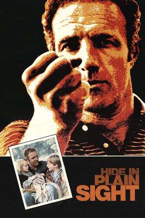 Hide in Plain Sight's poster