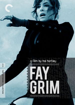 Fay Grim's poster
