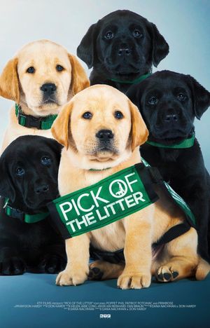 Pick of the Litter's poster