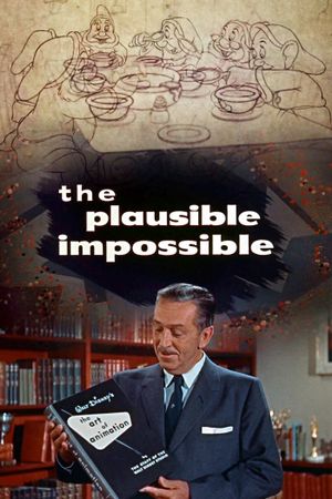 The Plausible Impossible's poster