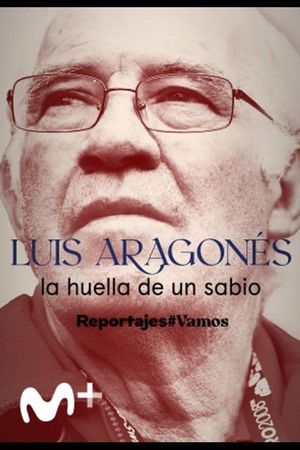 Luis Aragonés, la huella de un sabio's poster