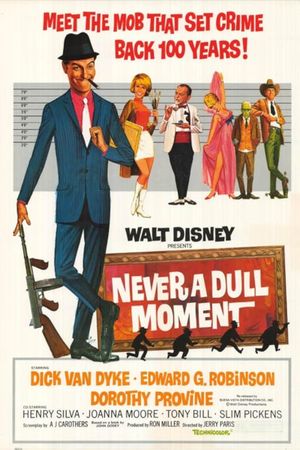 Never a Dull Moment's poster
