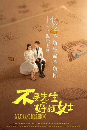 Mr. Xia And Miss Shang's poster