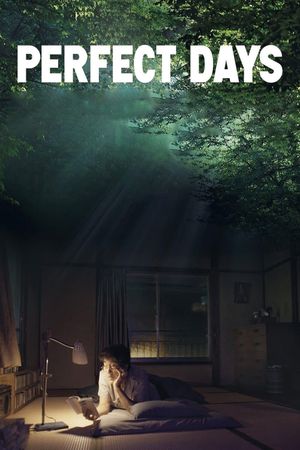 Perfect Days's poster