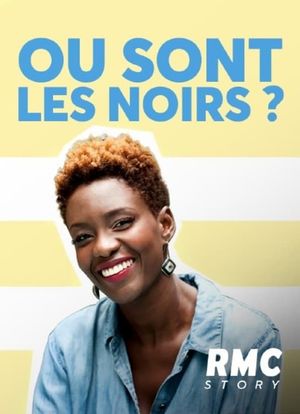 Où sont les noirs ?'s poster