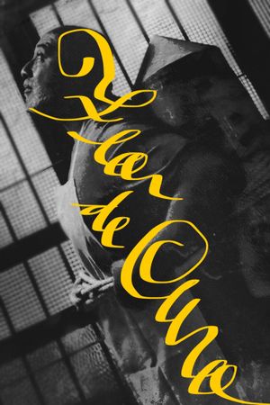 Flor de Ouro's poster