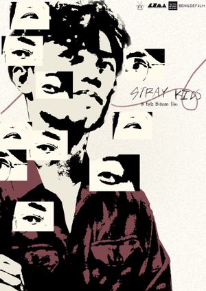 Stray Kids's poster