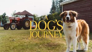 A Dog's Journey's poster