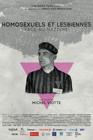 Pink Triangles, Homosexuals Facing Nazism's poster