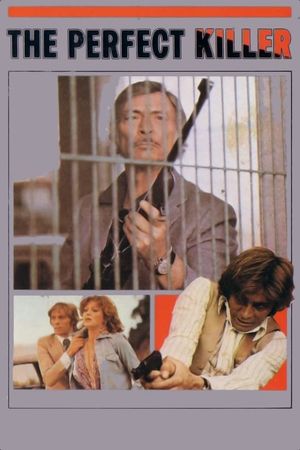 The Perfect Killer's poster
