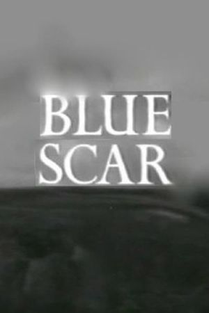 Blue Scar's poster image