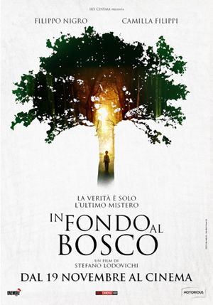 In fondo al bosco's poster