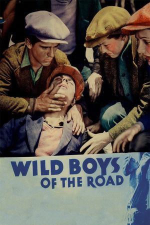 Wild Boys of the Road's poster