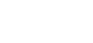 Secret Society of Second Born Royals's poster