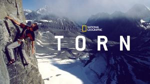 Torn's poster