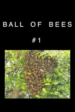 Bees's poster