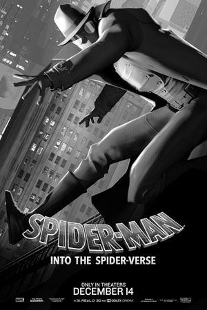 Spider-Man: Into the Spider-Verse's poster