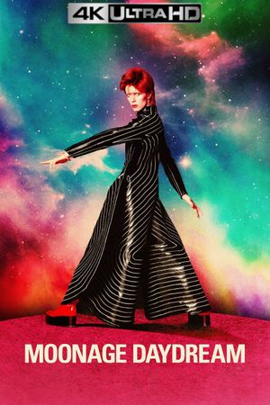Moonage Daydream's poster