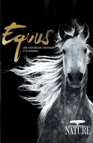 Equus: Story of the Horse's poster