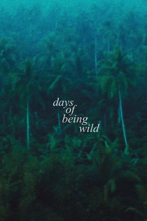 Days of Being Wild's poster
