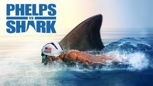 Phelps vs Shark's poster