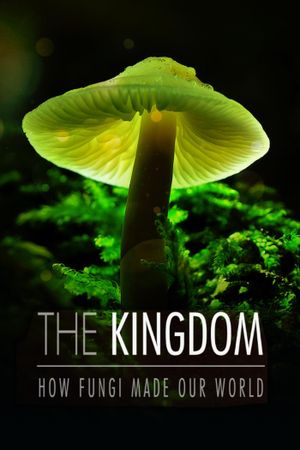 The Kingdom: How Fungi Made Our World's poster