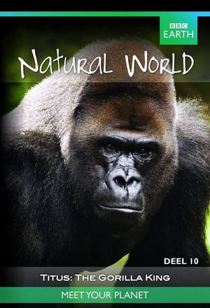 Titus: The Gorilla King's poster