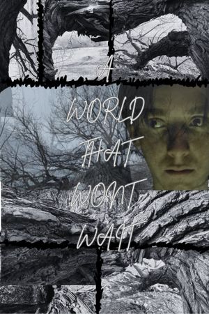 A World That Won't Wait's poster