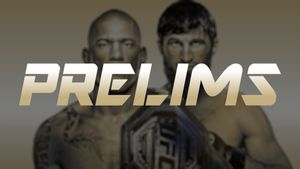 UFC 313: Pereira vs. Ankalaev's poster