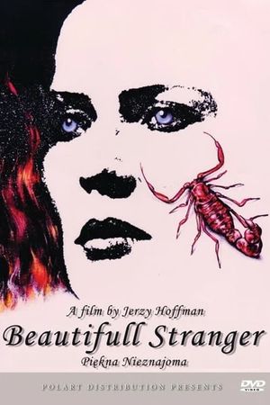 A Beautiful Stranger's poster
