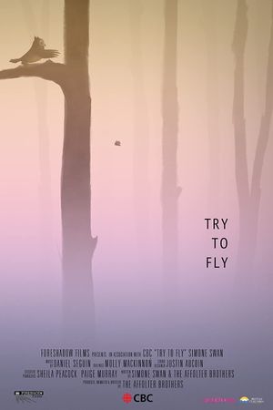 Try to Fly's poster image