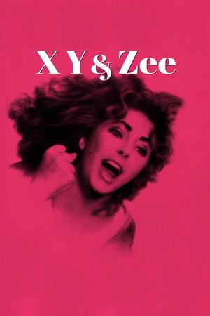 X, Y & Zee's poster