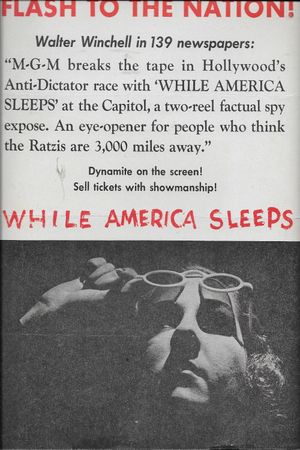 While America Sleeps's poster