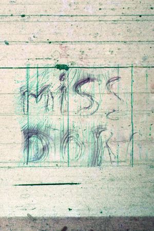 Miss Dora's poster