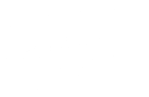 Summer Rebels's poster
