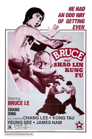Da mo tie zhi gong's poster