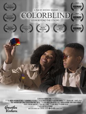 Colorblind's poster