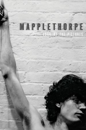 Mapplethorpe: Look at the Pictures's poster