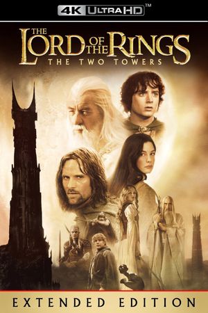 The Lord of the Rings: The Return of the King's poster