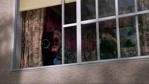 Cops and Robbersons's poster