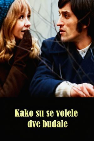 How the Two Fools Loved Each Other's poster