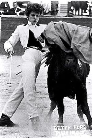Beauty and the Bull's poster