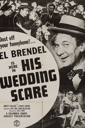 His Wedding Scare's poster image