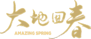 Amazing Spring's poster