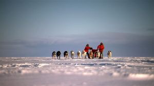 Top Gear: Polar Special's poster